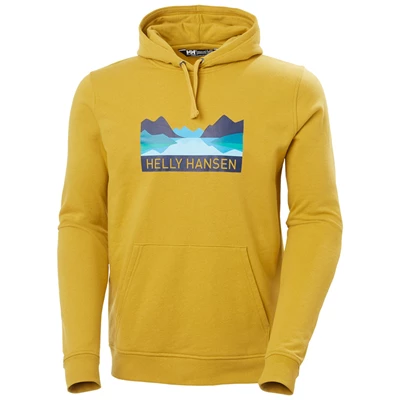 Pánské Mikiny Helly Hansen Nord Grafická Pull Over S Kapucí Hnědé | XQHBRDN-57