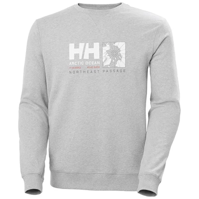 Pánské Svetry Helly Hansen Arctic Ocean Sweat Šedé | IYOSXKF-73